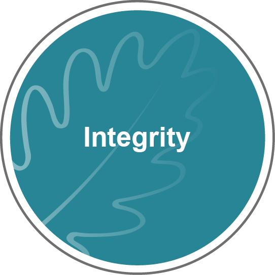 Integrity values icon