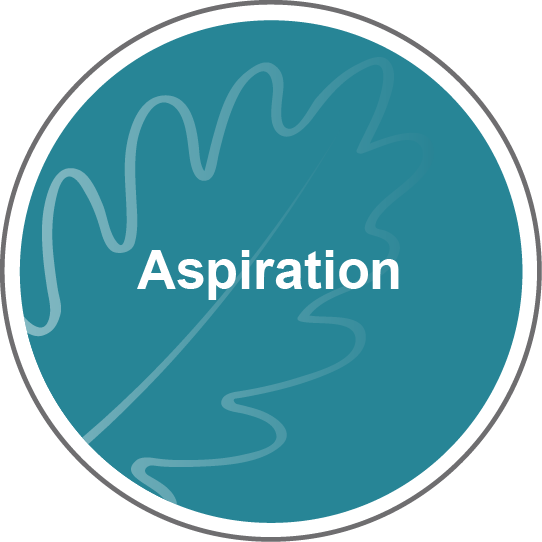 Aspiration values icon